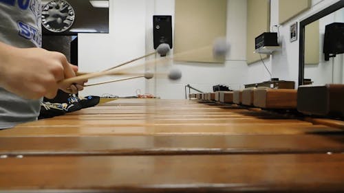 Marimba Player