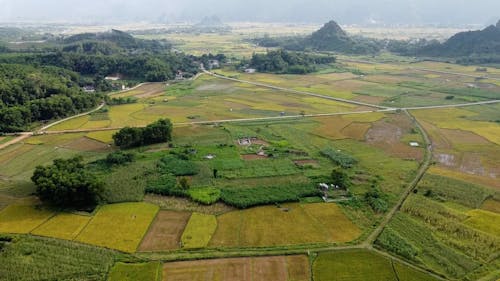 Aerial Footage of a Green Field