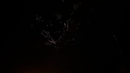 Colorful Fireworks Display in the Sky During Night Time