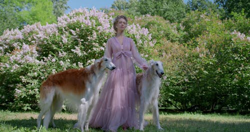 A Woman Touching a Dog Free Stock Video Footage, Royalty-Free 4K & HD Video Clip A Woman Touching a Dog Free Stock Video Footage, Royalty-Free 4K & HD Video Clip