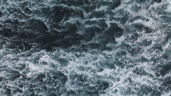 海免费下载视频素材