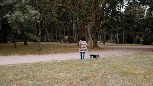 Woman walking two dogs in park