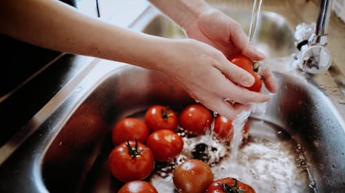 Close up on Washing Tomatoes in Sink