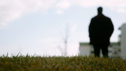 Rear View on Man Standing on Grass