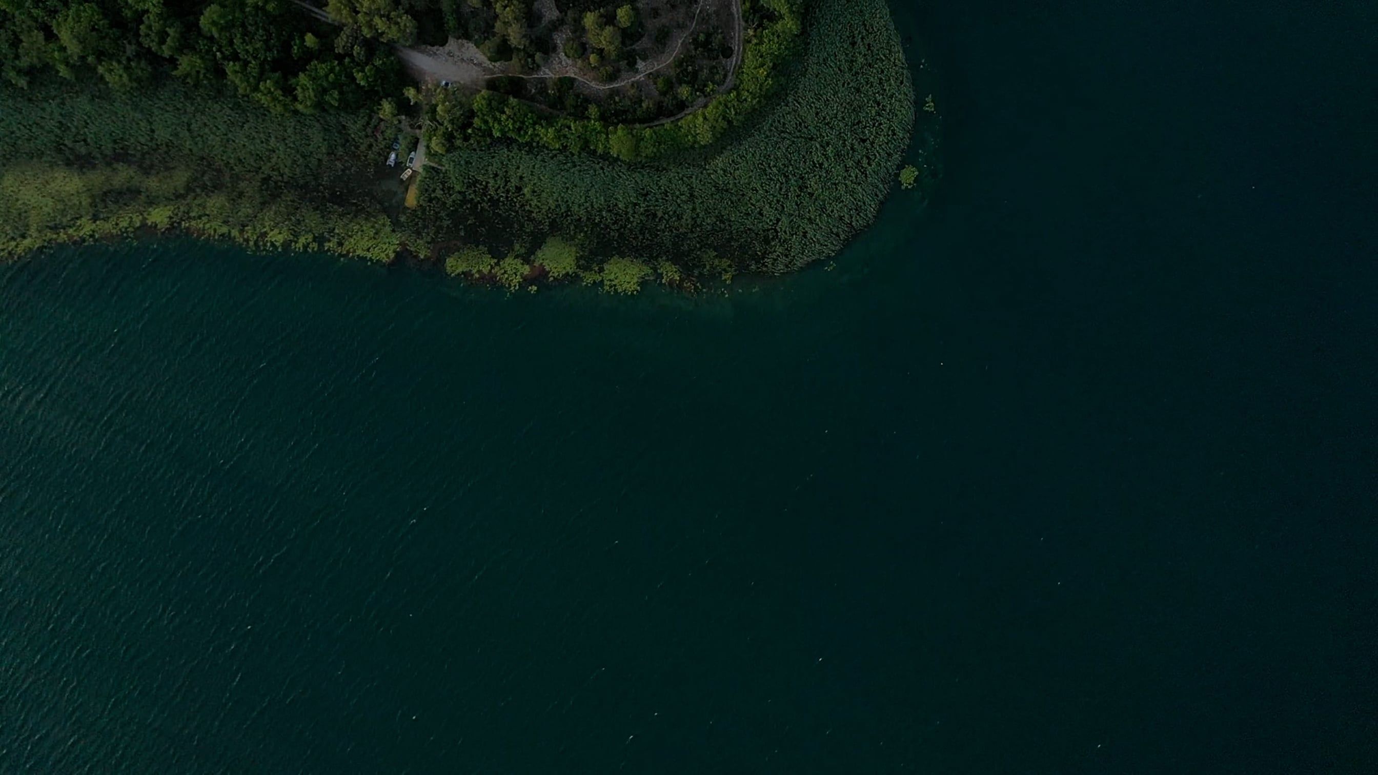 Drone Footage of Lake and Forest Free Stock Video Footage, Royalty-Free ...