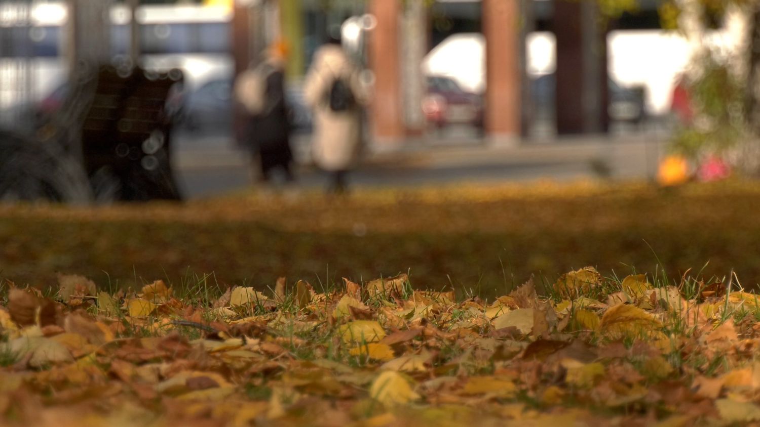 Ground View Videos, Download The BEST Free 4k Stock Video Footage ...