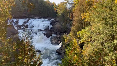 Landscape with Cascade Waterfall in Forest