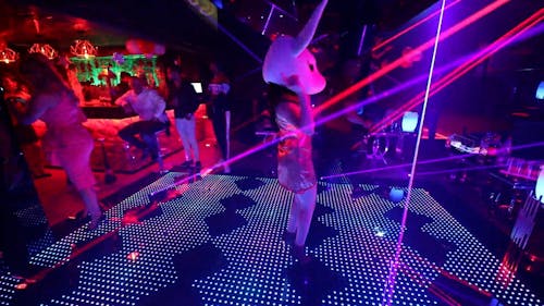 Animal Dance Videos, Download The BEST Free 4k Stock Video Footage & Animal Dance HD Video Clips Animal Dance Videos, Download The BEST Free 4k Stock Video Footage & Animal Dance HD Video Clips