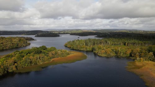 Plains Covered by Forests on Lough Key shore