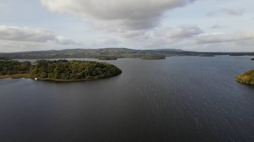 Forests on Shores of Lough Key