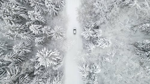 Car on the Road Covered with Snow