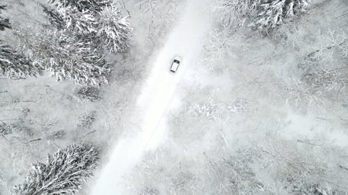 Drone Footage of Car on the Road