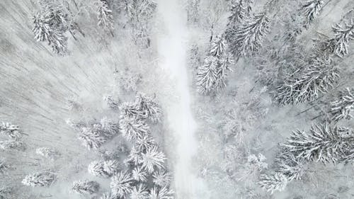 Aerial Shot of Winter Landscape
