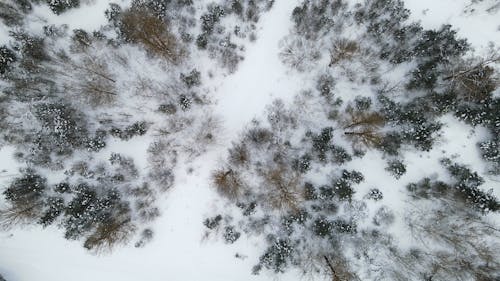 Aerial Shot of Landscape