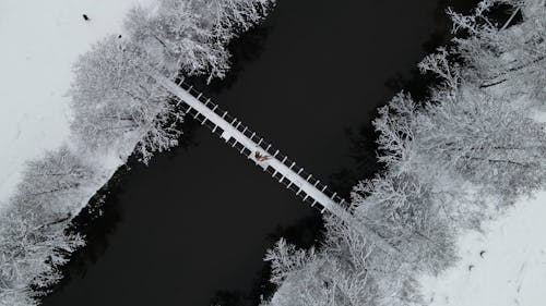 Drone Footage of People Lying on a Footbridge