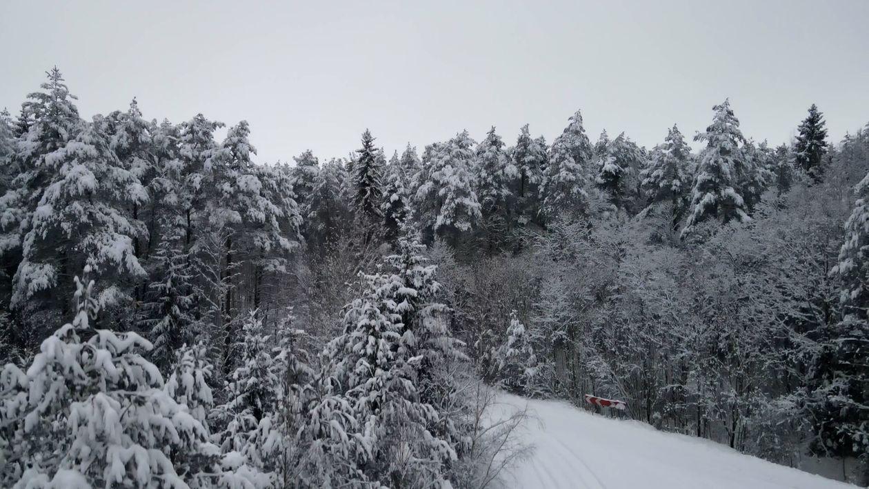 Aerial Shot of Road in Forest in Winter Free Stock Video Footage ...