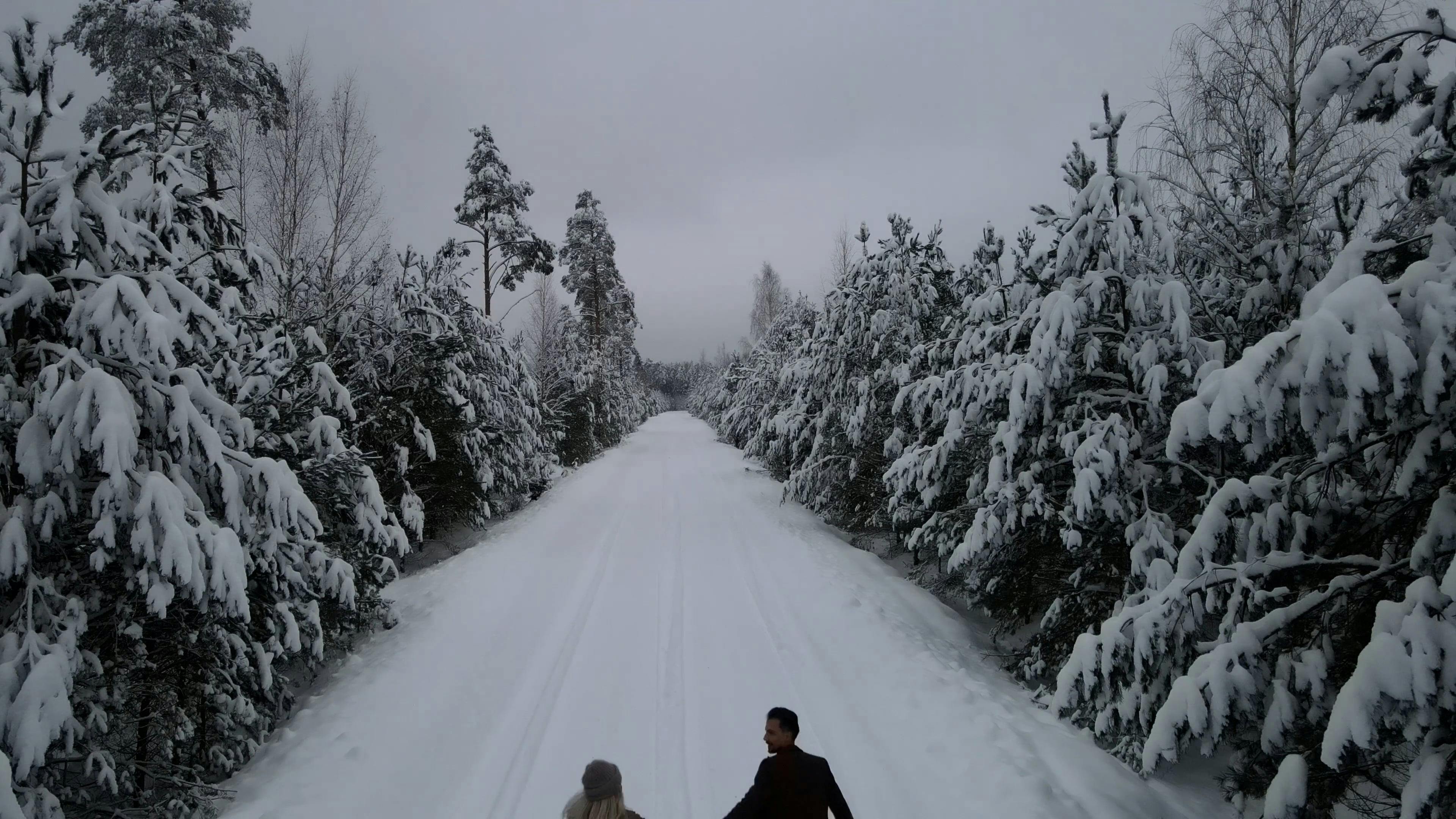 Безкоштовне стокове відео: біжить, вічнозелені дерева, гетеросексуальні ...