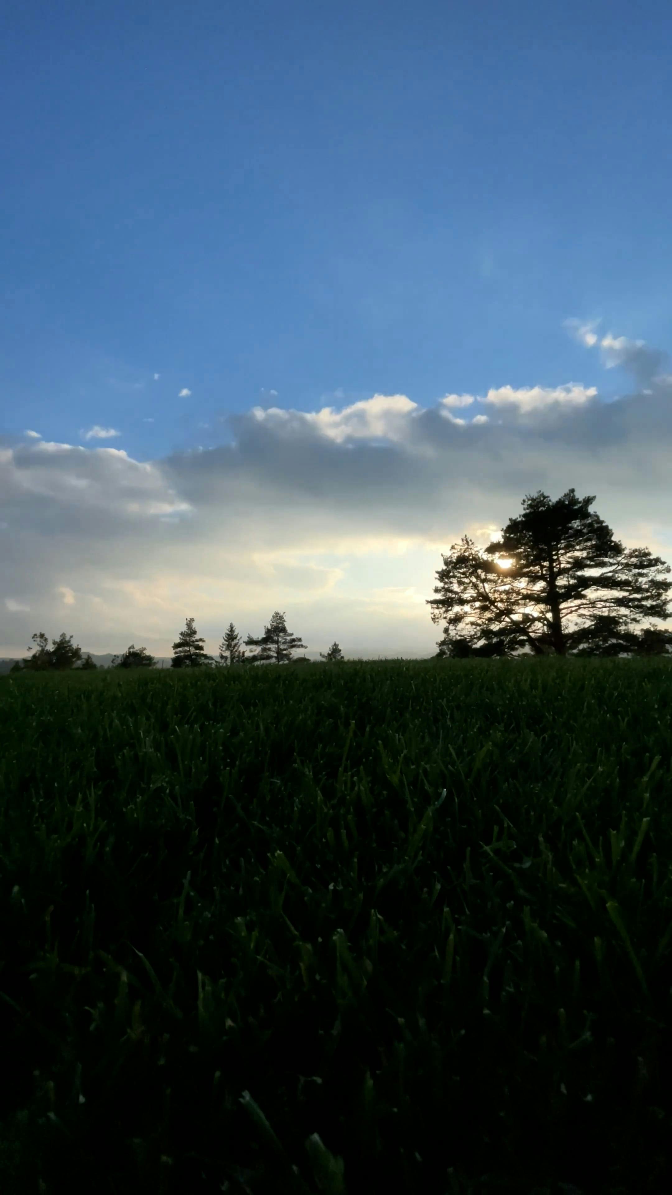 Video by Christopher Knutsen