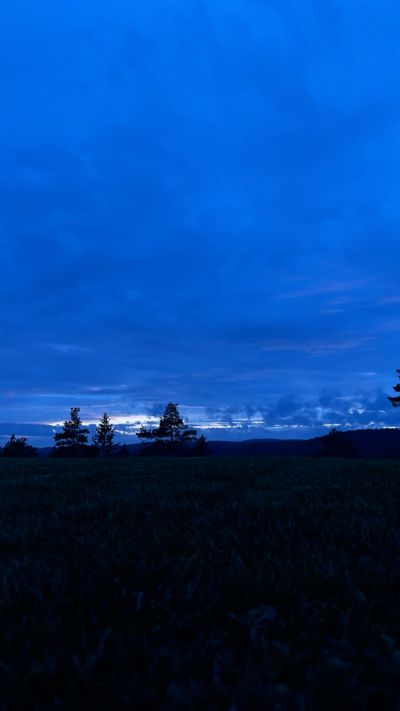 Christopher Knutsen's nature timelapse video