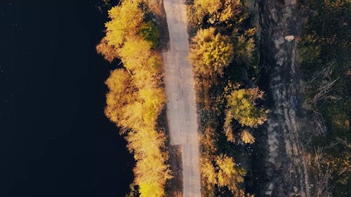 Drone Footage of Coastal Road