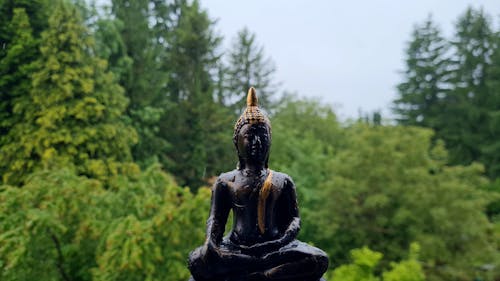 A Wet Buddha Sculpture