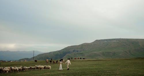 Women and Animals Walking in a Grass Field