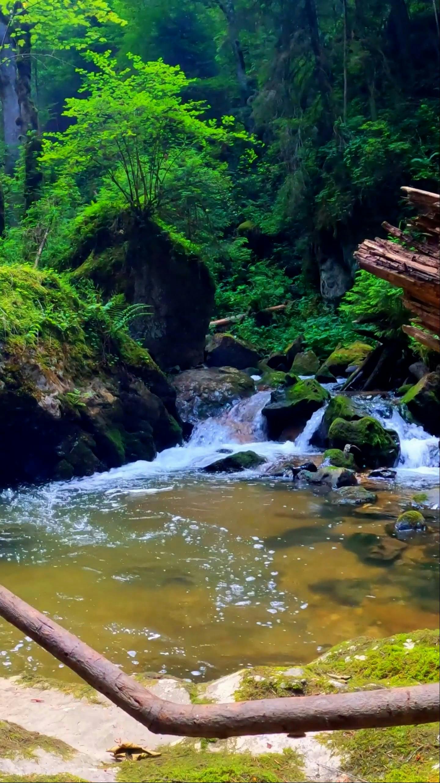 Video by I Am Sorin