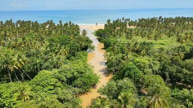 tropical river estuary