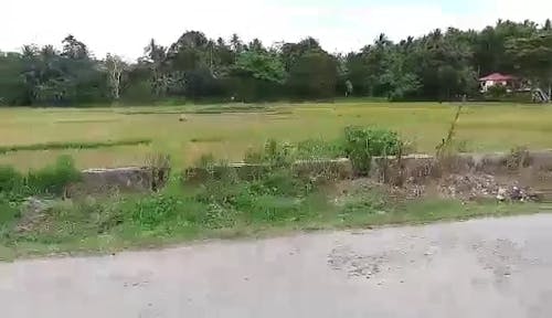 Video Of Farmland