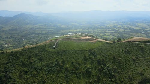 Drone Video of Hill Under Forest