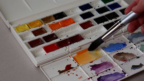 Person Using a Watercolor Palette