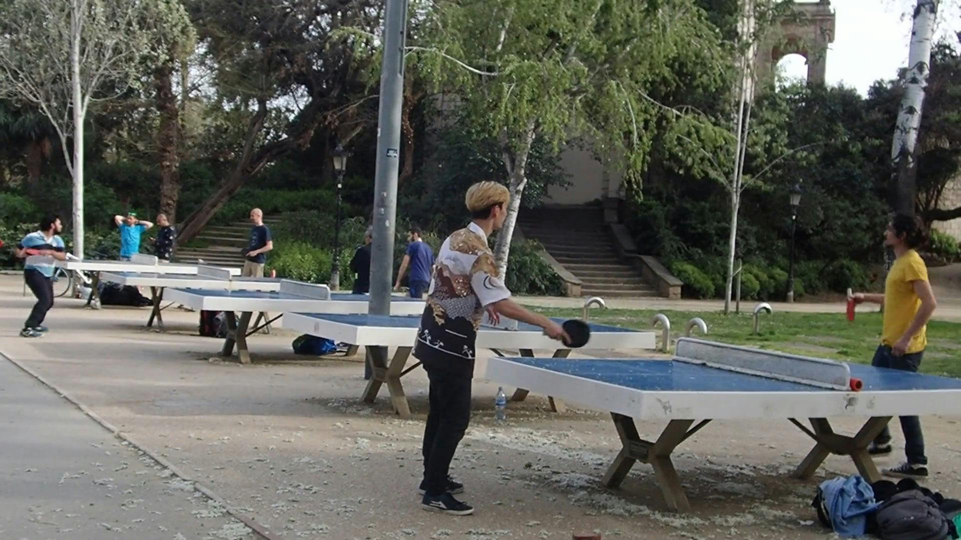 500+ Amazing Table Tennis Videos Pexels · Free Stock Videos