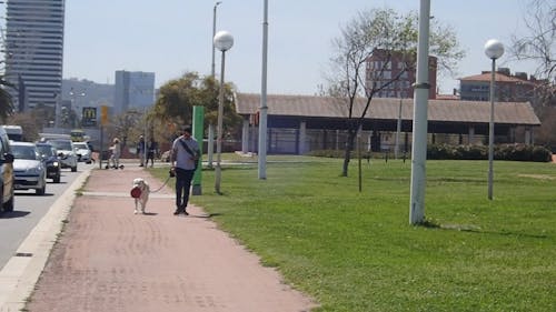 People Walking On Sidewalk