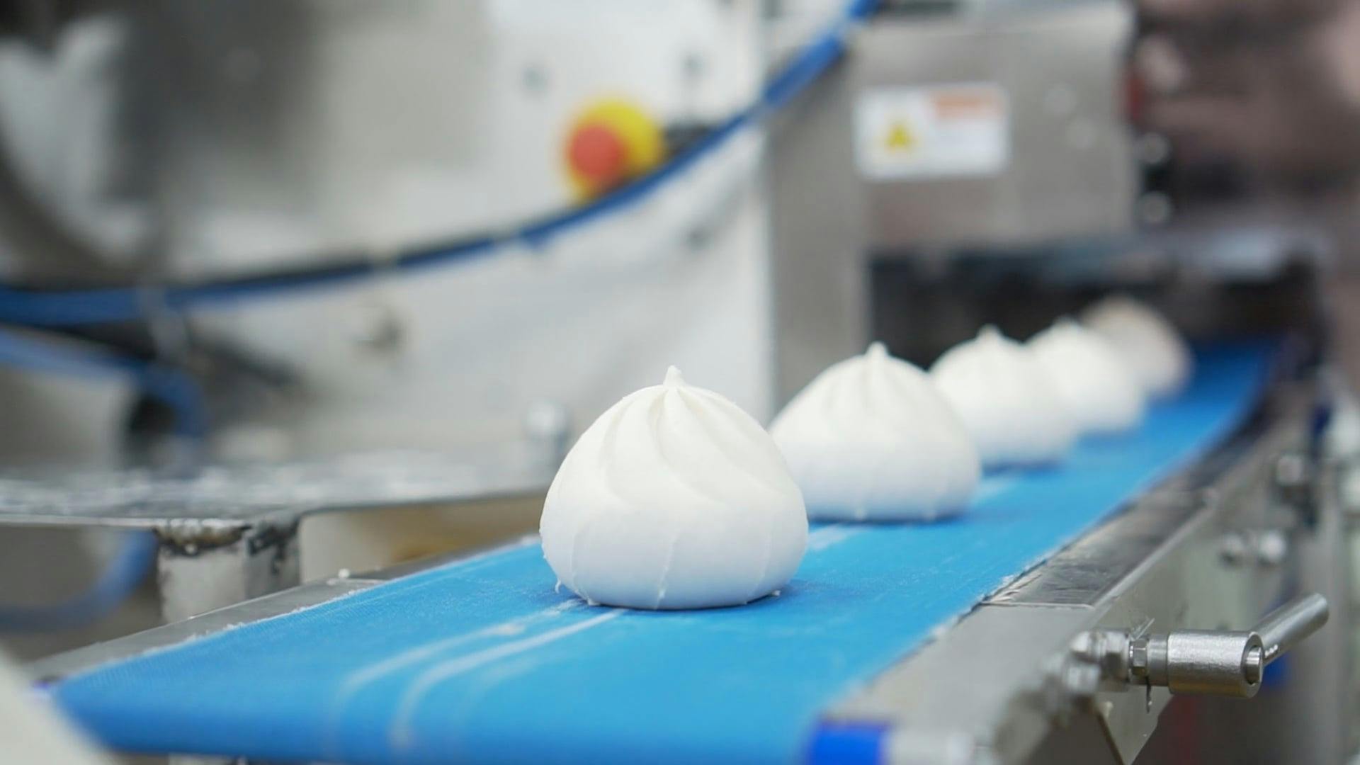 Engineer, Food Manufacturing, Measuring, Conveyors Videos, Download The ...