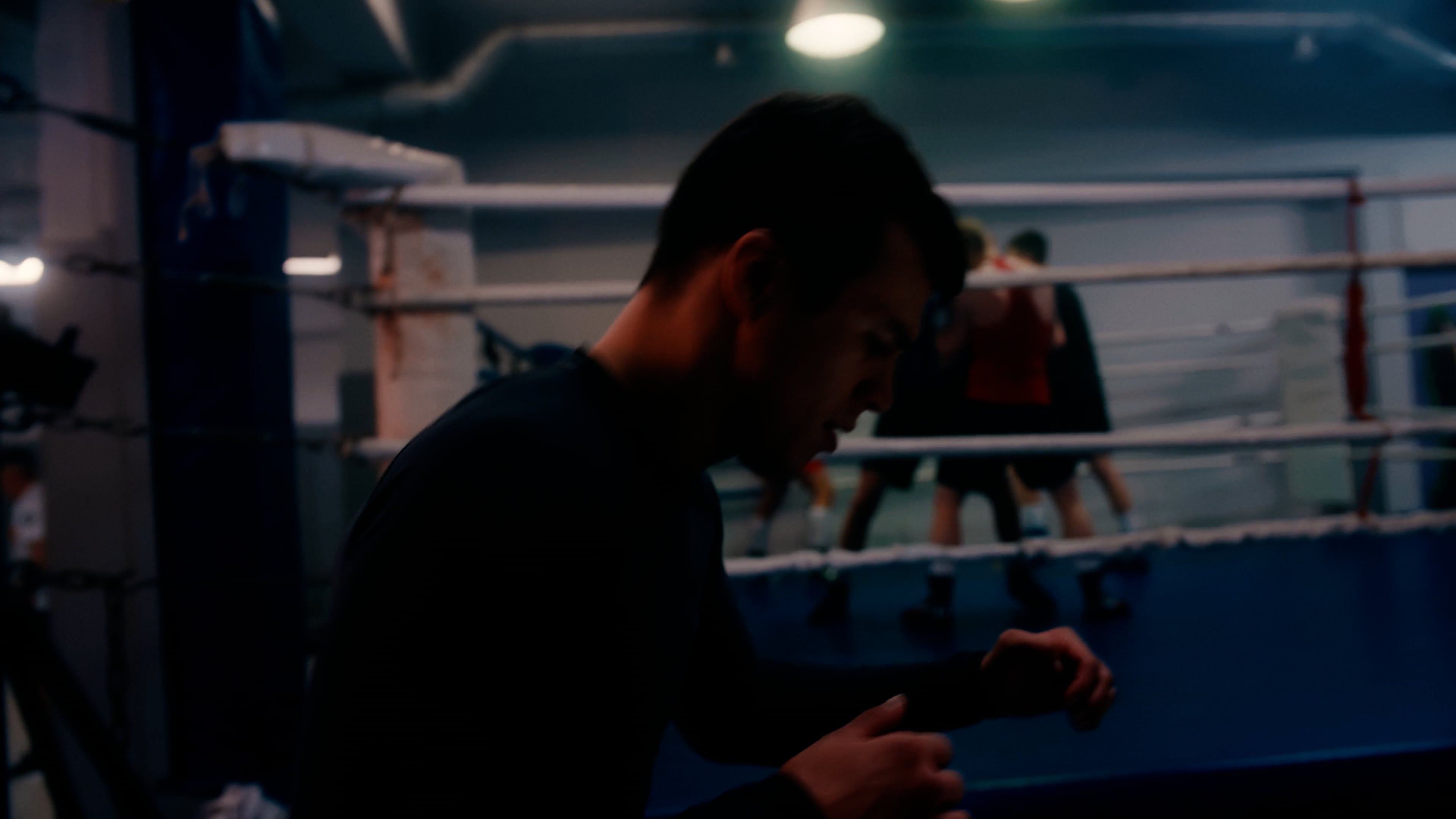 People Training Boxing on a Gym Free Stock Video Footage, Royalty-Free ...