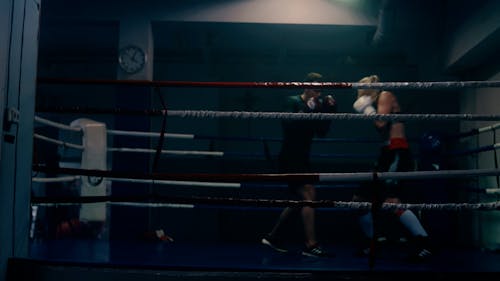 Boxers Sparring in a Boxing Ring