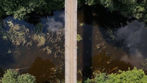 Birds Eye View of a Bridge in a Dense Forest