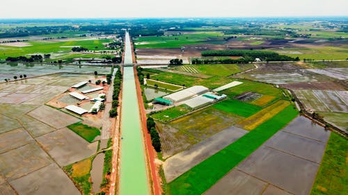 Rice Paddies and Irrigation Canal