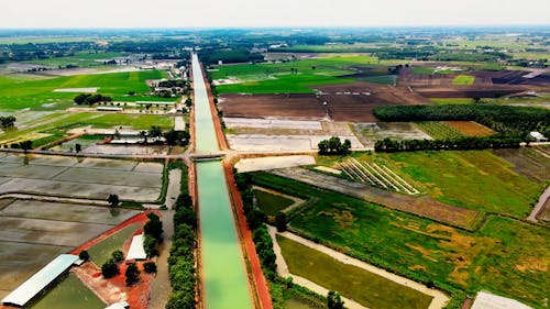Rice Fields and Irrigation Canal