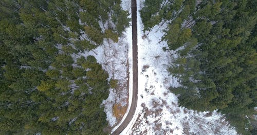 Drone Shot of Forest With Snow